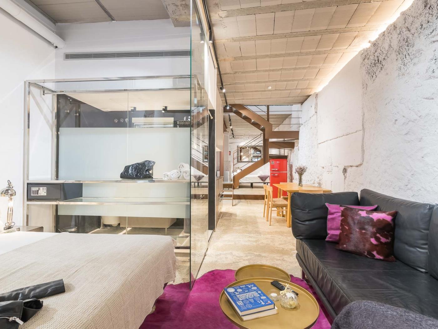My Space Barcelona Industrial Loft with Private Terrace in Sant Gervasi for 5 - My Space Barcelona Apartments