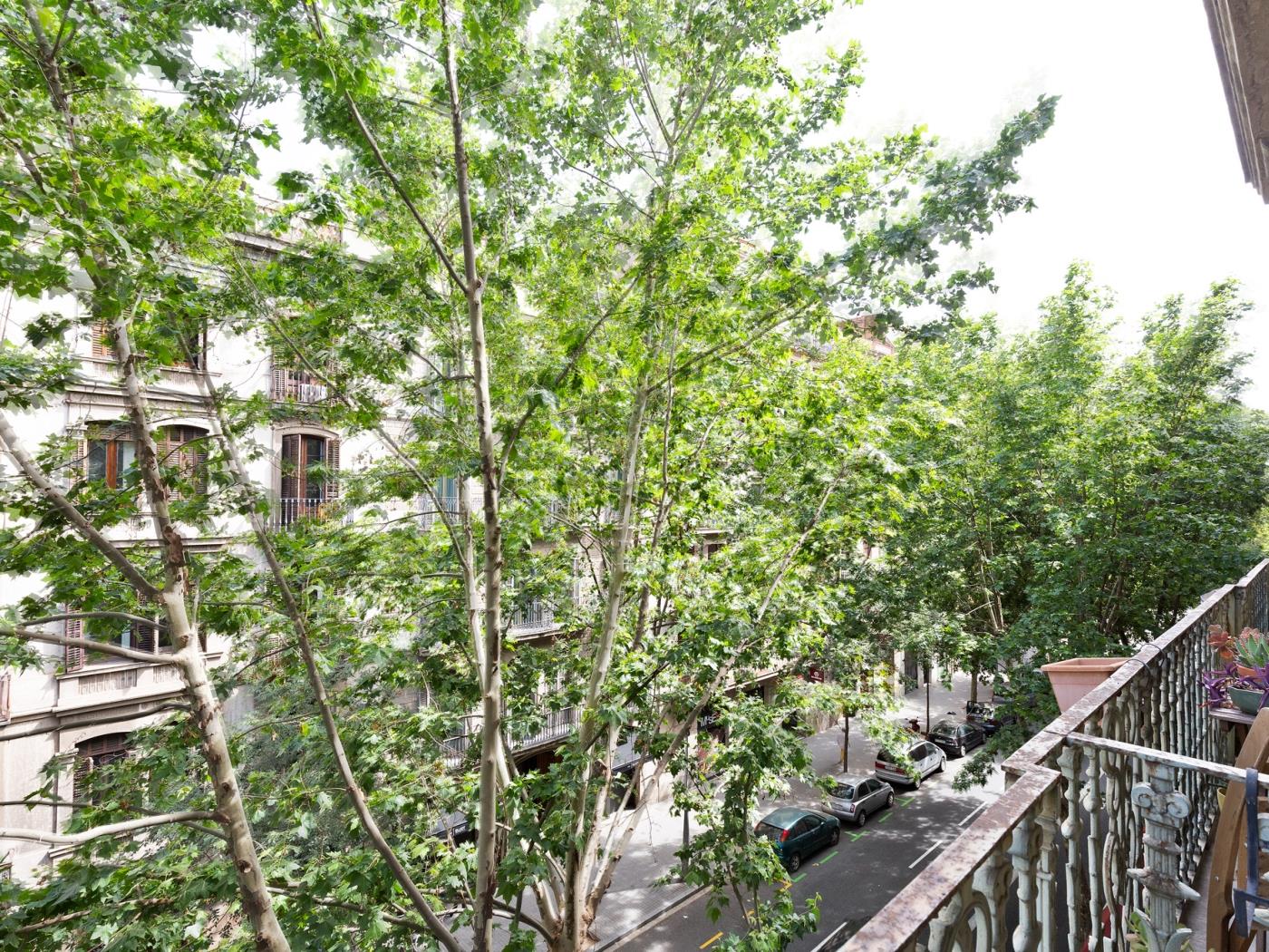 Your perfect stay in the heart of the city - My Space Barcelona Apartments